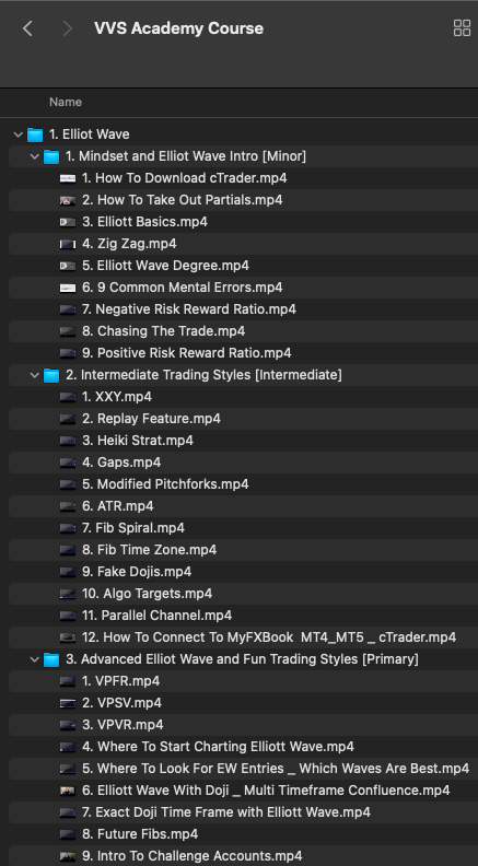 VVS Academy Full Course-Premium 4 VVS Academy Full Course-Premium - Image 4