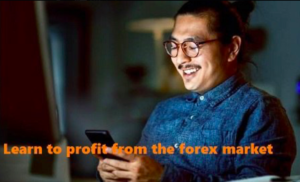 Hustle Fx Trading Course – Learn To Profit From The Forex Market 2022-Premium