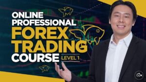 ADAM KHOO -FOREX TRADING COURSE - LEVEL 1-Premium