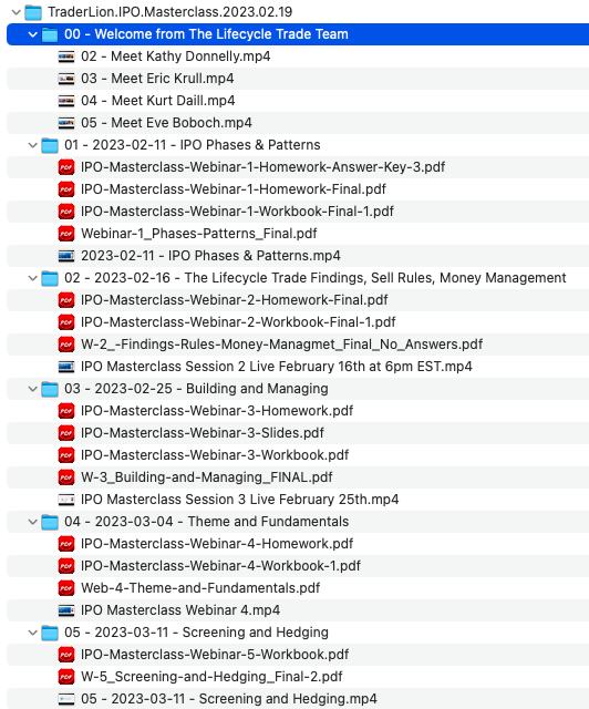 TraderLion – IPO Masterclass 2023 3 TraderLion – IPO Masterclass 2023 - Image 3