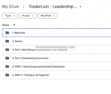 TraderLion – Leadership Blueprint 2 TraderLion – Leadership Blueprint - Image 2