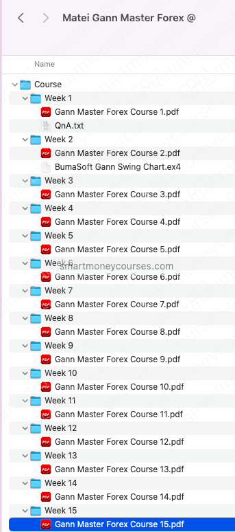Matei – Gann Master Forex Course 2023 6 Matei – Gann Master Forex Course 2023 - Image 6