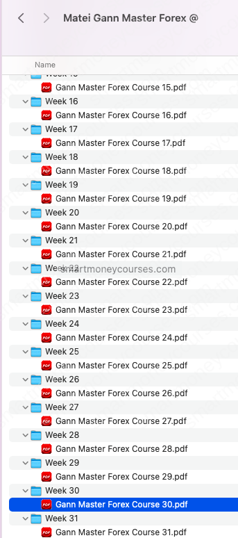 Matei – Gann Master Forex Course 2023 5 Matei – Gann Master Forex Course 2023 - Image 5