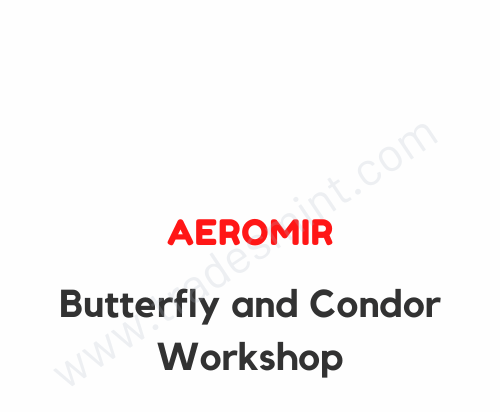 Aeromir - Butterfly and Condor Workshop 1 Aeromir - Butterfly and Condor Workshop