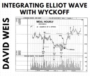 David Weise –  Integrating Elliot Wave with Wyckoff ( MP3s & PDF)