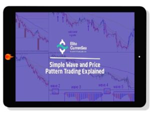 [Download] Chris Svorcik – Simple Wave Analysis and Trading (2021)