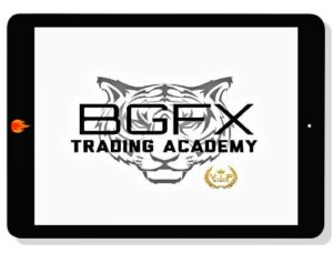 [Download] BGFX Trading Academy (2021)
