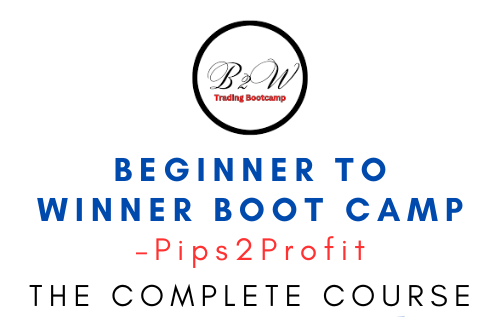 Pips2Profit – Beginner To Winner Boot Camp 1 Pips2Profit – Beginner To Winner Boot Camp