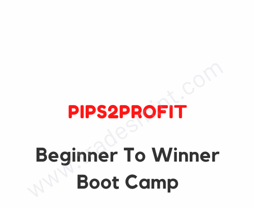 Pips2Profit - Beginner To Winner Boot Camp 1 Pips2Profit - Beginner To Winner Boot Camp