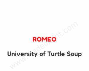 Romeo's University of Turtle Soup