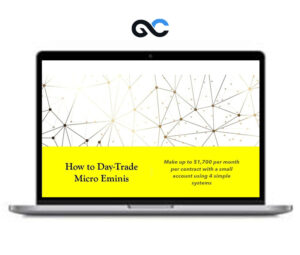 Dr. Stoxx – How To Day-Trade Micro Eminis - premium Courses
