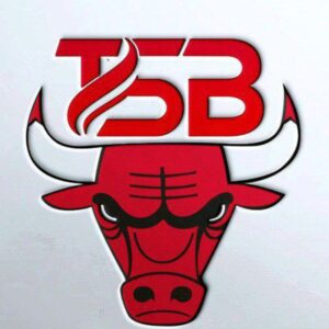 Trader Shah Binary - TSB Premium Course