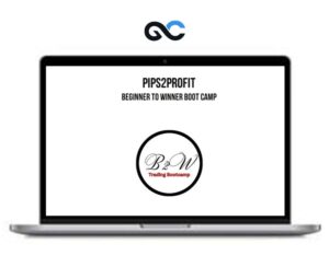 Pips2Profit – Beginner To Winner Boot Camp - Premium Courses