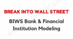 BIWS Bank & Financial Institution Modeling