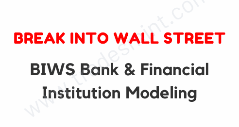 BIWS Bank & Financial Institution Modeling 1 BIWS Bank & Financial Institution Modeling
