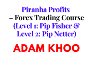 Piranha Profits – Forex Trading Course (Level 1: Pip Fisher & Level 2: Pip Netter)