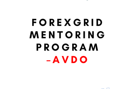 Avdo – ForexGrid Mentoring Program 1 Avdo – ForexGrid Mentoring Program