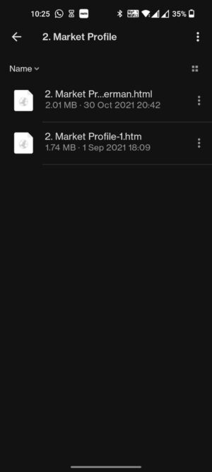 BidAskTrader – Proprietary Trading Program