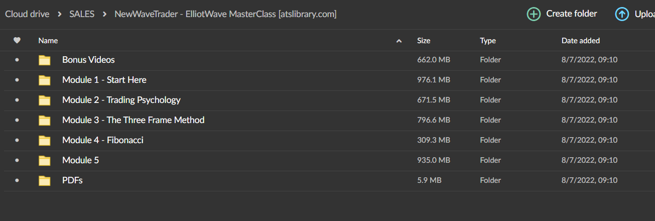 NewWaveTrader – ElliotWave MasterClass 2 NewWaveTrader – ElliotWave MasterClass - Image 2