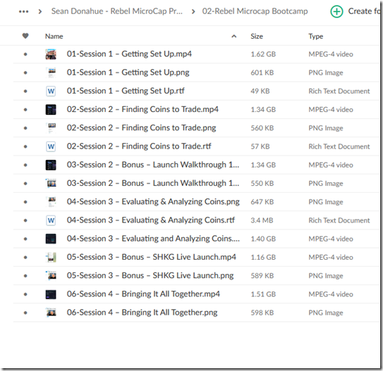 Sean Donahue – Rebel MicroCap Program 2 Sean Donahue – Rebel MicroCap Program - Image 2