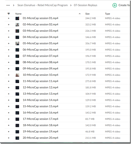 Sean Donahue – Rebel MicroCap Program 3 Sean Donahue – Rebel MicroCap Program - Image 3