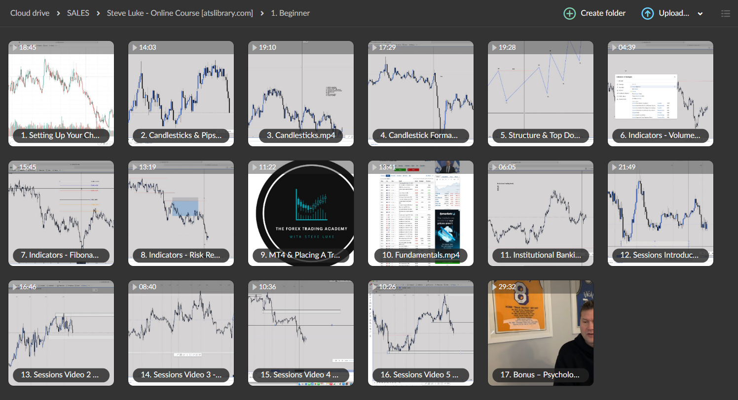 Steve Luke All Access Online Trading Course 3 Steve Luke All Access Online Trading Course - Image 3