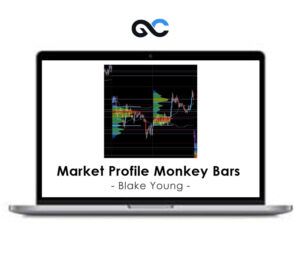Blake Young – Market Profile Monkey Bars Class