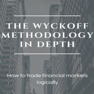 The Wyckoff Methodology in Depth ebook