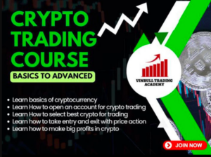 Vinbull Crypto Trading Course