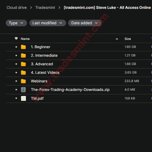 Steve Luke - All Access Online Trading Course 2025 2 Steve Luke - All Access Online Trading Course 2025 - Image 2