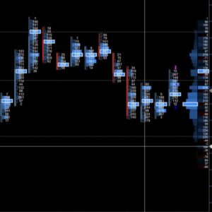 Volume Profile Order Flow Course by Mark Stone