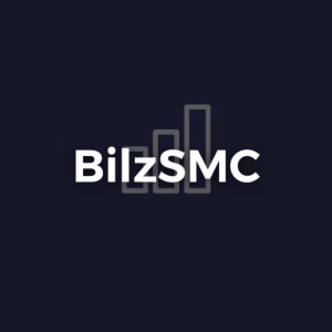 BilzSMC Mentorship