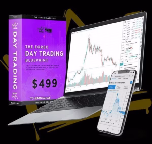 The Swag Academy – FOREX Day Trading
