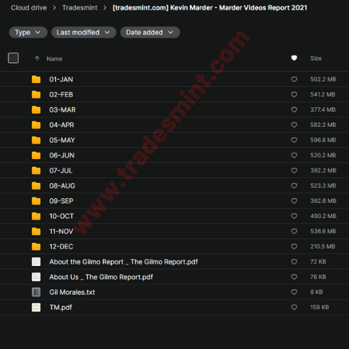 Kevin Marder – Marder Videos Reports 2021 2 Kevin Marder – Marder Videos Reports 2021 - Image 2