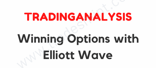 TradingAnalysis - Winning Options with Elliott Wave 1 TradingAnalysis - Winning Options with Elliott Wave